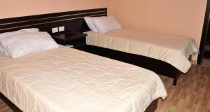 2 Betten in einem Hotelzimmer mit in der Unterkunft Garden Hotel in Gjirokastër