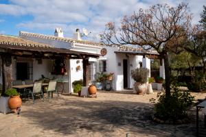 patio przed białym domem w obiekcie La Mejorana Refugio andaluz con piscina entre olivos w mieście Villanueva de Tapia