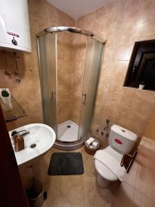 een badkamer met een douche, een toilet en een wastafel bij Vikendica Gradina Zlatibor in Čajetina