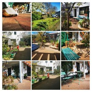 a collage of photos of a park with a cat and a bench at InselScheune Rügen in Wiek auf Rügen 