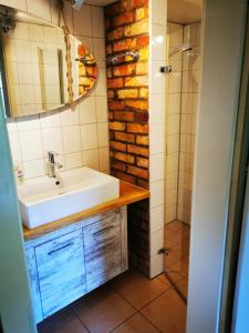 a bathroom with a sink and a shower at InselScheune Rügen in Wiek auf Rügen 