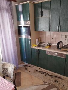 a kitchen with green cabinets and a sink at Gogo. in Kupres