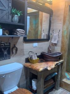 a bathroom with a sink and a toilet and a mirror at Fox Pass Cabins in Hot Springs