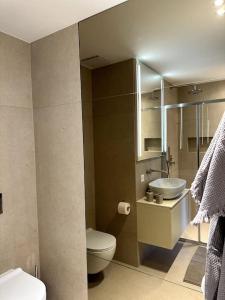 La salle de bains est pourvue de toilettes et d'un lavabo. dans l'établissement Riva 22, à Lugano