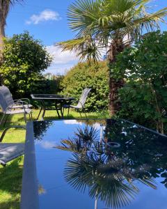 a patio with a table and chairs and palm trees at Beechwood House in St Ives