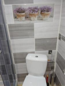 a bathroom with a toilet and three plants on a shelf at POD BLUSZCZEM in Świnoujście