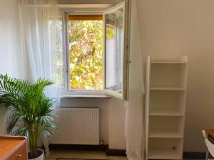 a room with a window and a plant and shelves at Udine Urban Stay in Udine