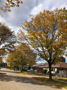 Bairro nos arredores ou perto da casa de hóspedes