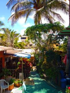 un complexe avec un palmier et une piscine dans l'établissement Nelyza's Suites & Adventure, à Puerto Ayora