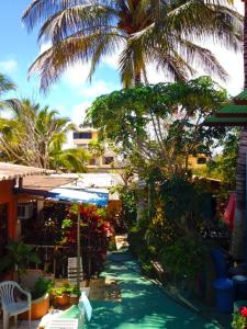 un complejo con una palmera y una piscina en Nelyza's Suites & Adventure, en Puerto Ayora