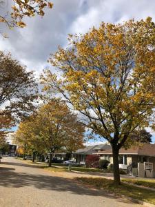 Bairro nos arredores ou perto da casa de hóspedes