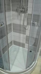 a shower with a glass door in a bathroom at POD BLUSZCZEM in Świnoujście