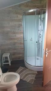 W łazience znajduje się przeszklony prysznic i toaleta. w obiekcie Runa, Marcos de los Reyes villa serrana w mieście Minas