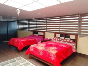 Легло или легла в стая в Hostal Mediodía MATRIZ