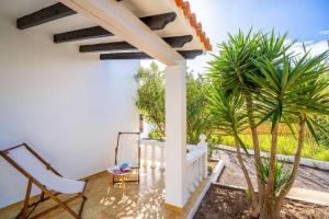 un patio con 2 sillas y una palmera en Viviendas turísticas Lesley VTV Es Pi - Formentera Break, en Playa de Migjorn