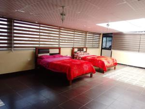 Легло или легла в стая в Hostal Mediodía MATRIZ