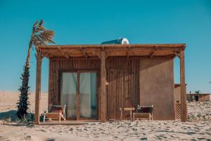 una piccola casa sulla spiaggia con una palma di Selina Dakhla a Dakhla