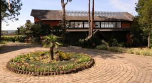 a house with a palm tree in a circle of flowers at Apartamento Knorrville 306 in Gramado