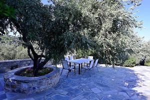 A garden outside Danai villa