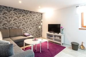 TV a/nebo společenská místnost v ubytování NISA Apartments