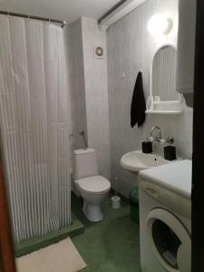 uma casa de banho com um WC, um lavatório e um chuveiro em Quiet central studio em Pazardzhik