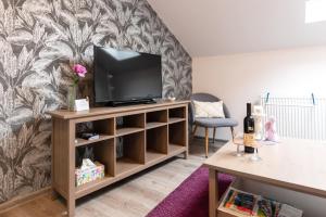 TV a/nebo společenská místnost v ubytování NISA Apartments