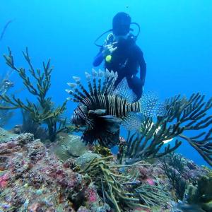 Hosté ubytování Hotel Taganga Dive Santa Marta
