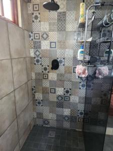 a shower with a glass door in a bathroom at Melvilla House in Johannesburg