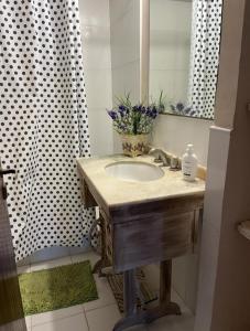 a bathroom with a sink and a mirror and a shower at Departamento en Ramallo in Ramallo