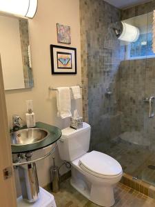 ein Bad mit einem WC, einem Waschbecken und einer Dusche in der Unterkunft Stunning Guest House Nestled within the Redwoods in Corte Madera
