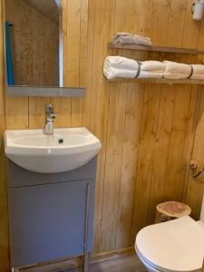 a bathroom with a sink and a toilet at chalet paradisiaque en bord de Marne Proche de Disneyland in Isles-lès-Villenoy