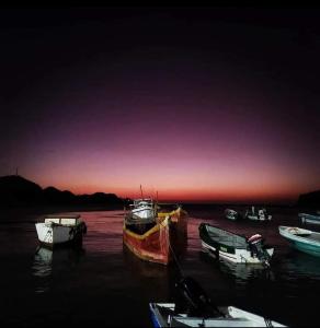 a group of boats sitting in the water at sunset at Taganga Dive Inn in Taganga