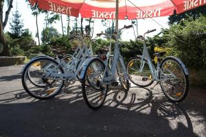 Jazda na bicykli v okolí ubytovania Hotel Vistula