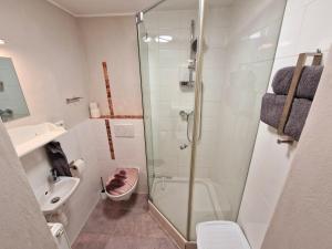 een badkamer met een douche, een toilet en een wastafel bij Schönes Apartment in Niebüll in Niebüll