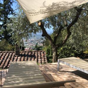 La Casa sui Colli في Uzzano: طاولة نزهة ومقعد تحت شجرة