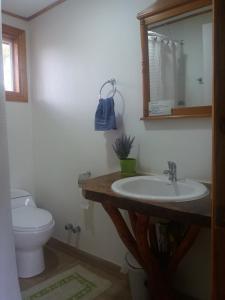 a bathroom with a sink and a toilet at Cabañas Los Volcanes Ensenada Puerto Varas in La Ensenada
