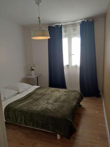 - une chambre avec un lit doté de rideaux bleus et d'une fenêtre dans l'établissement magnifique appartement rénové à 15 min de Paris, à Thiais
