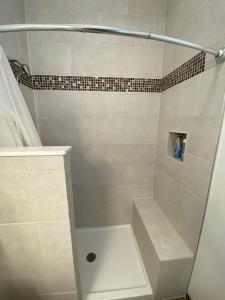 a bathroom with a shower stall with a shower at Unit 5 Maui Ohana Modern Studio in Wailuku