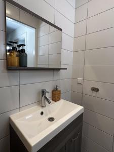 a bathroom with a sink and a mirror at Hidden Gem next to TU Delft Campus Family XL house in Delft