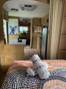 a bedroom with a bed in a rv at Back Beach Retro Van in Fingal