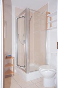 a bathroom with a shower and a toilet at 2 bed 2 bath Apartment with Canal View in Dublin