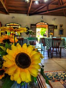 a vase of sunflowers sitting on a table in a restaurant at Pousada dos Girassóis in Cunha