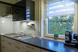 a kitchen with a sink and a window at Ferienwohnung Zum Sperberring - Parkplatz - Wallbox - WLAN - Netflix&Disney - sehr ruhig - perfekt zum entspannen & erholen in Ilmenau