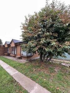 a house with a tree in front of it at Cabaña Central Coyhaique in Coihaique