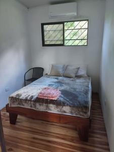 a bedroom with a bed in a room with two windows at Ojochal studio design conteneur & jardin in Ojochal