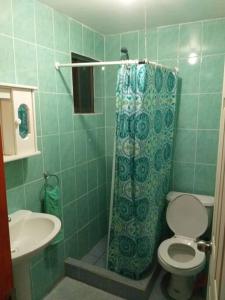 een groene betegelde badkamer met een toilet en een wastafel bij El Sauce de las Vegas in Cobquecura