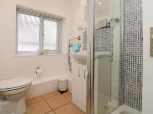 ein Badezimmer mit Toilette, Waschbecken und Dusche in der Unterkunft Courtyard Cottage in Chittlehampton + 16 Fotos