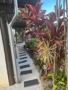 a garden with red plants and a pathway at Rez-de-chaussée indépendant avec piscine in Sainte-Marie