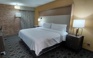 Postel nebo postele na pokoji v ubytování Holiday Inn - McAllen - Medical Center Area by IHG