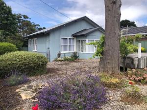 a blue house with a tree in the yard at St. Leonards Pier Beach House in Saint Leonards